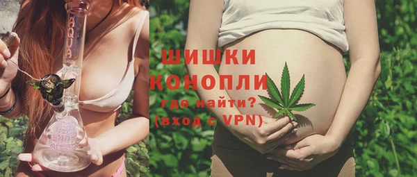 спиды Аркадак